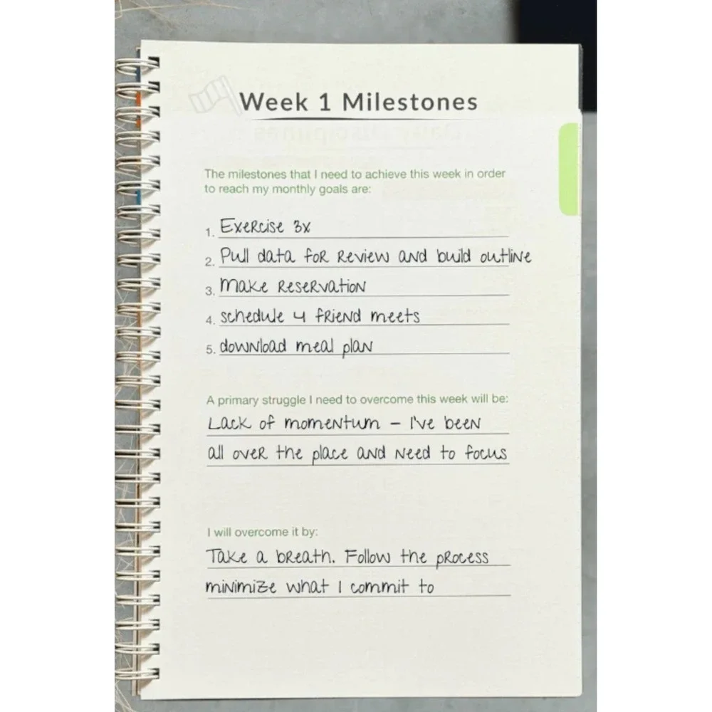 2X NEW DEFINE MY DAY Daily Planner & Goal Setting Gratitude Journal Undated